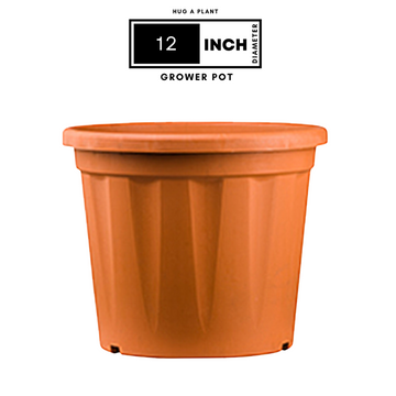 12" Grower Pot