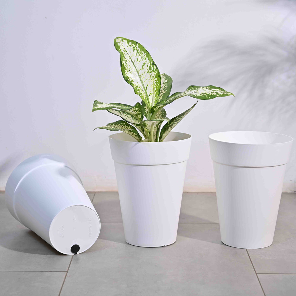 Rome Pot - White