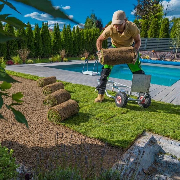 Lawn Care
